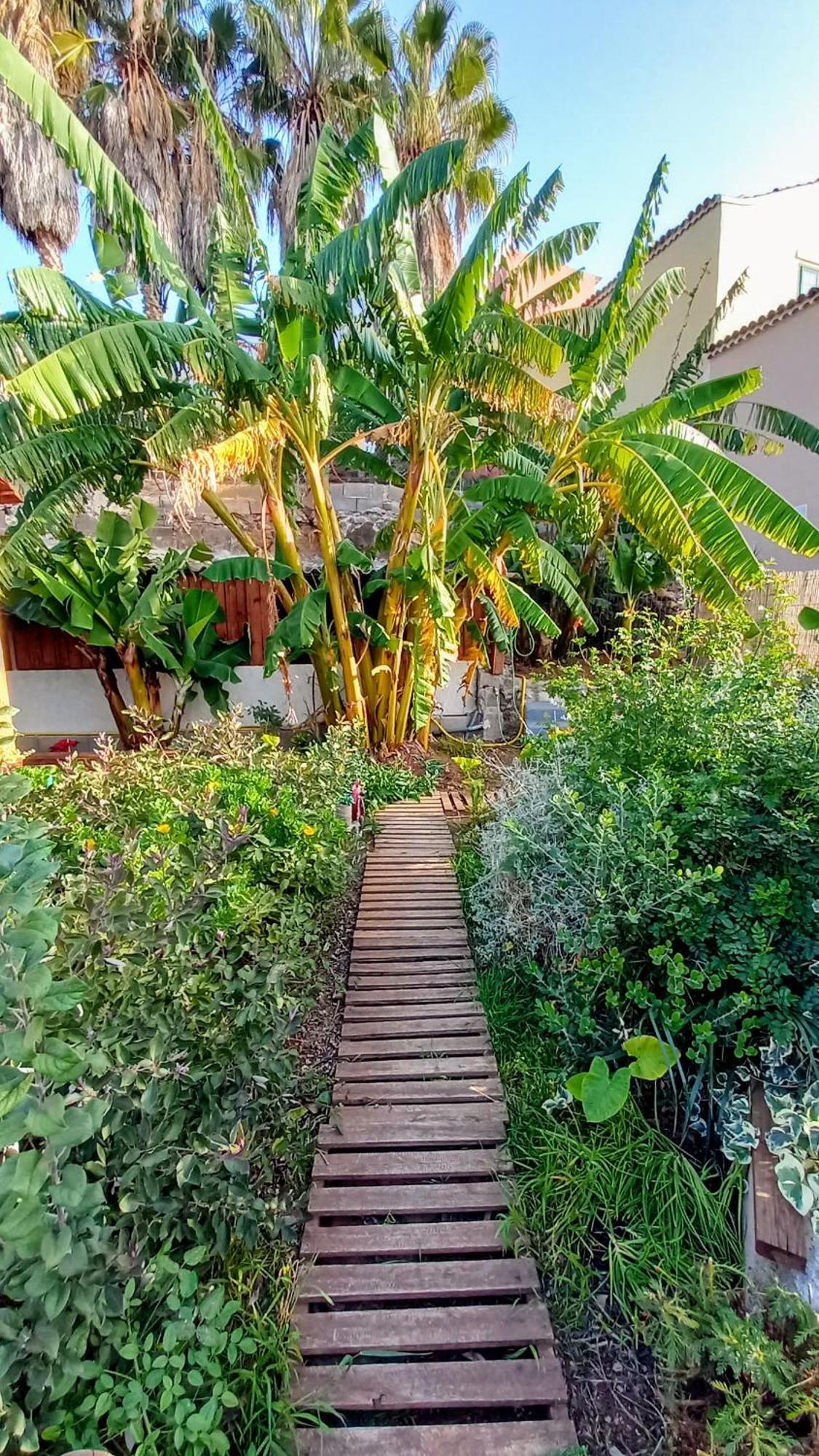 Finca Don Pedro Santa Cruz de Tenerife Bagian luar foto